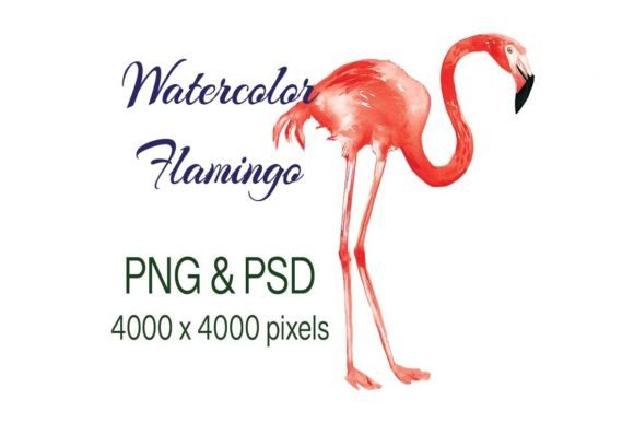 Unleash Your Creativity with a Flamingo Watercolor and Digital Design Instant Download