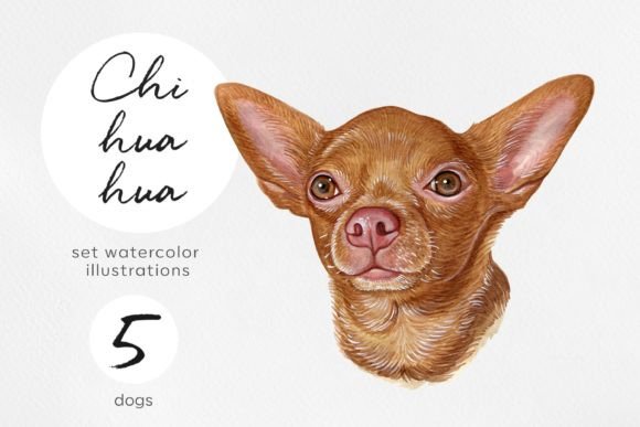Watercolor 5 Chihuahua Dog Illustration: A Creative Resource for Designers