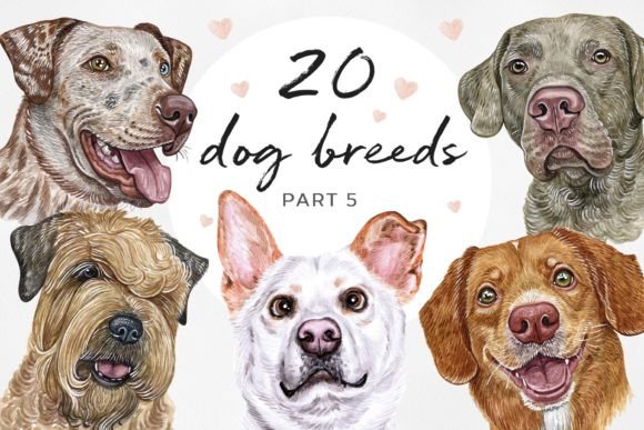 Watercolor Set 20 DOG Breeds PART 5: Integrating High-Quality Illustrations into Your Creative Workflow